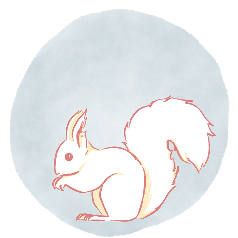 An illustration of a squirrel from the side